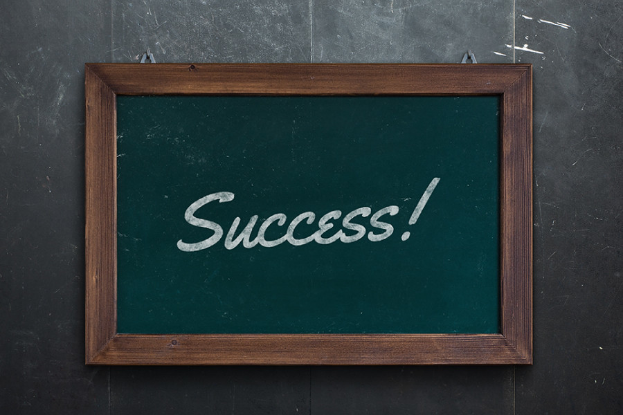 Writing Your Ways to Academic and Professional Success: a Course on Personal Statements and Cover Letters