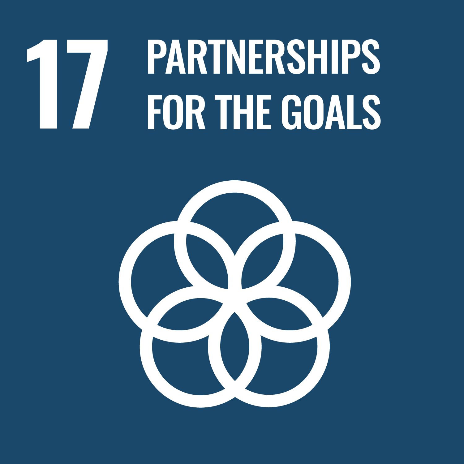 SDG Partnerships for the goals